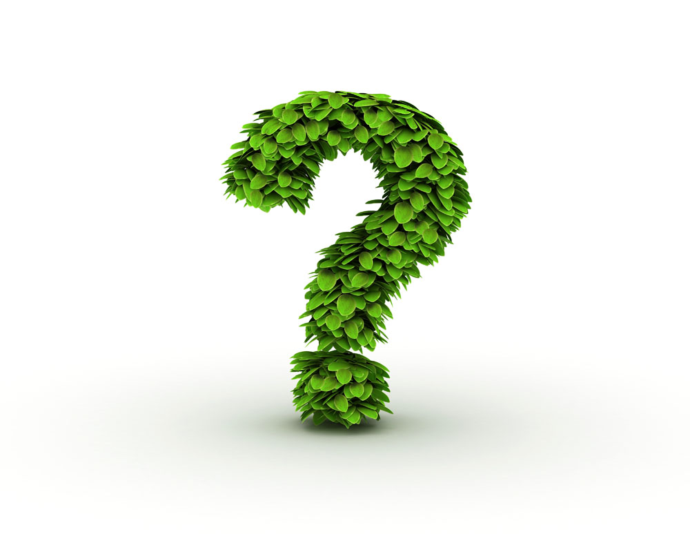 “臨沂之爭”下企業(yè)到底欠缺什么？